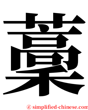 藳 serif font