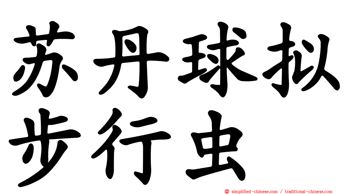 苏丹球拟步行虫