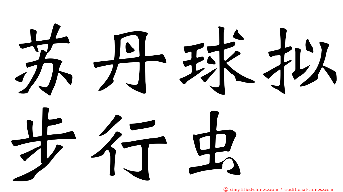 苏丹球拟步行虫