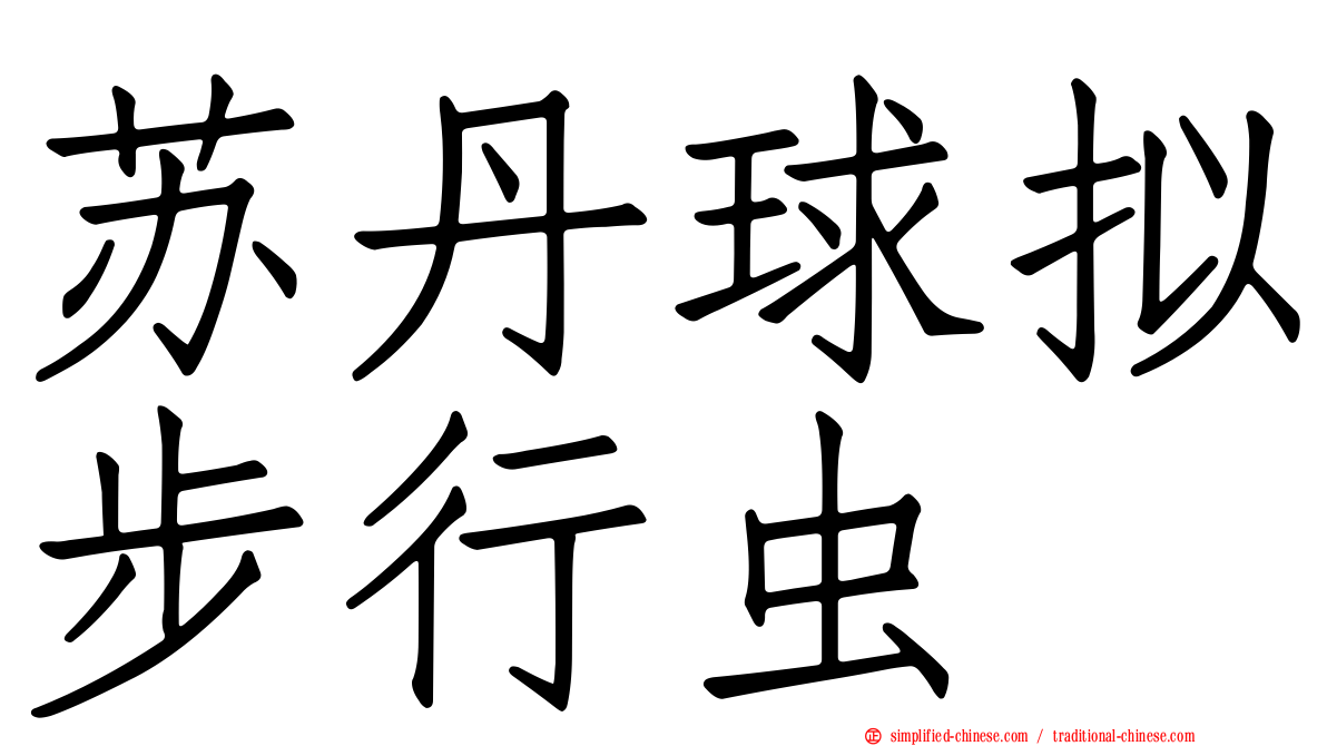 苏丹球拟步行虫