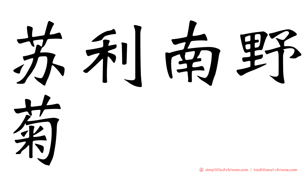苏利南野菊
