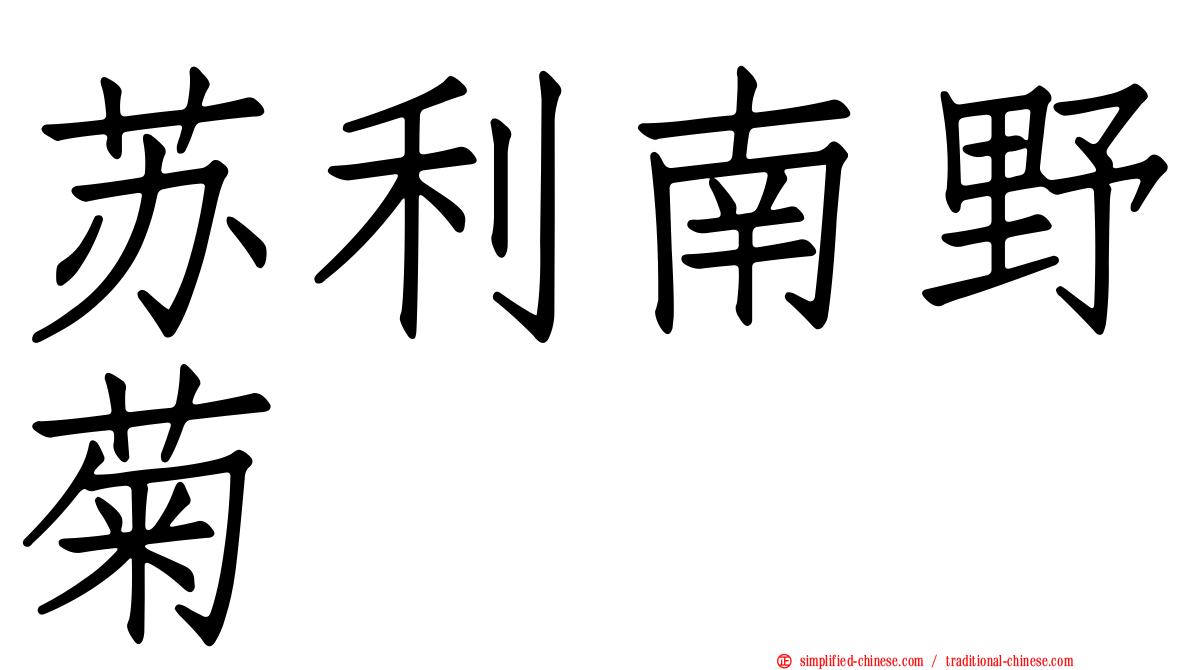 苏利南野菊