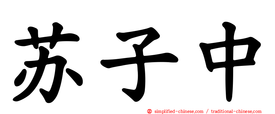 苏子中