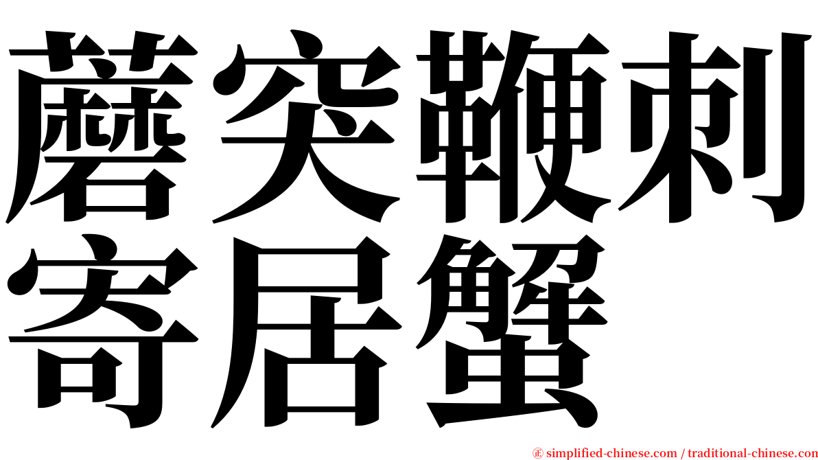 蘑突鞭刺寄居蟹 serif font