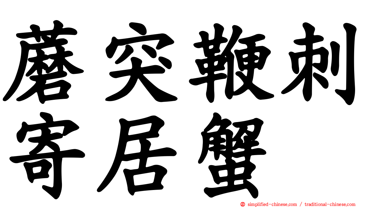 蘑突鞭刺寄居蟹