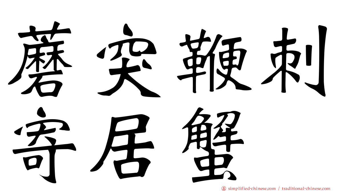 蘑突鞭刺寄居蟹