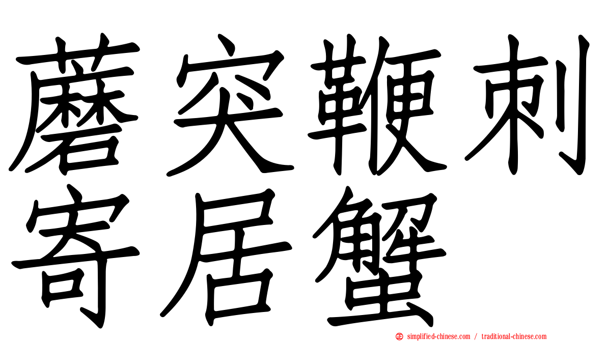 蘑突鞭刺寄居蟹