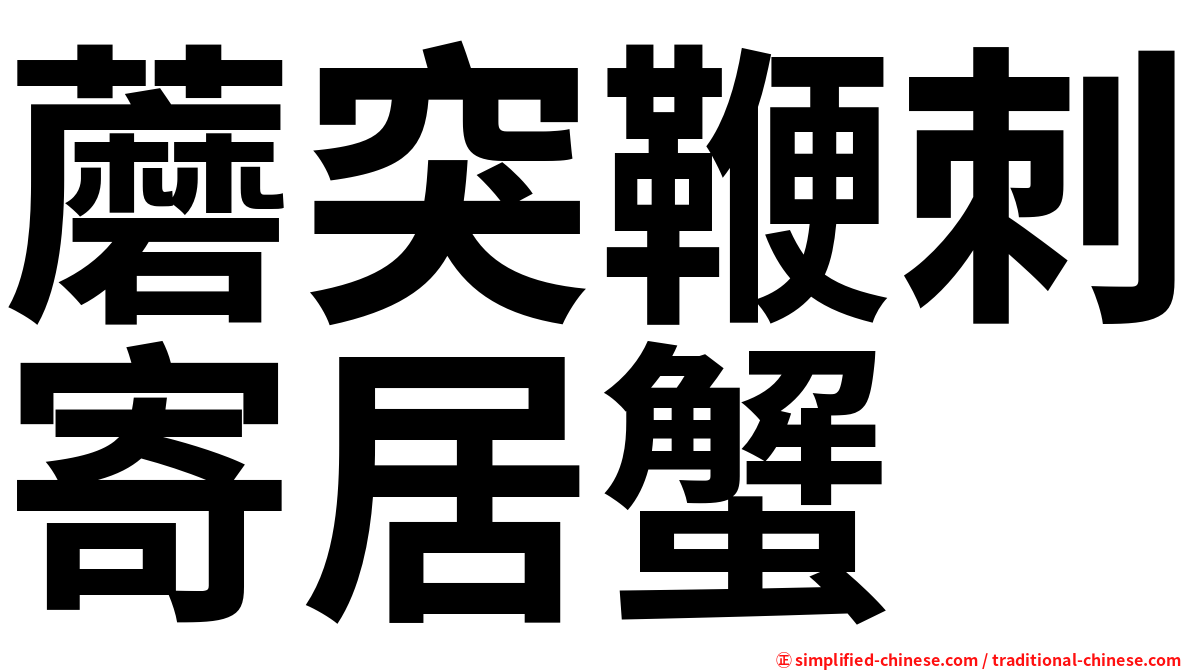 蘑突鞭刺寄居蟹