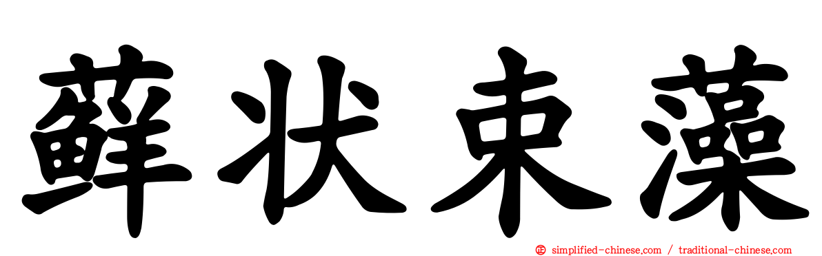藓状束藻