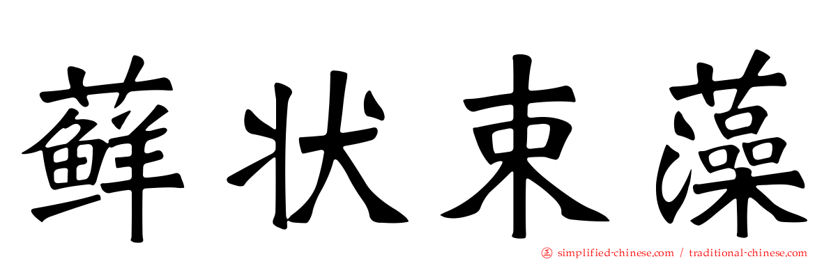 藓状束藻