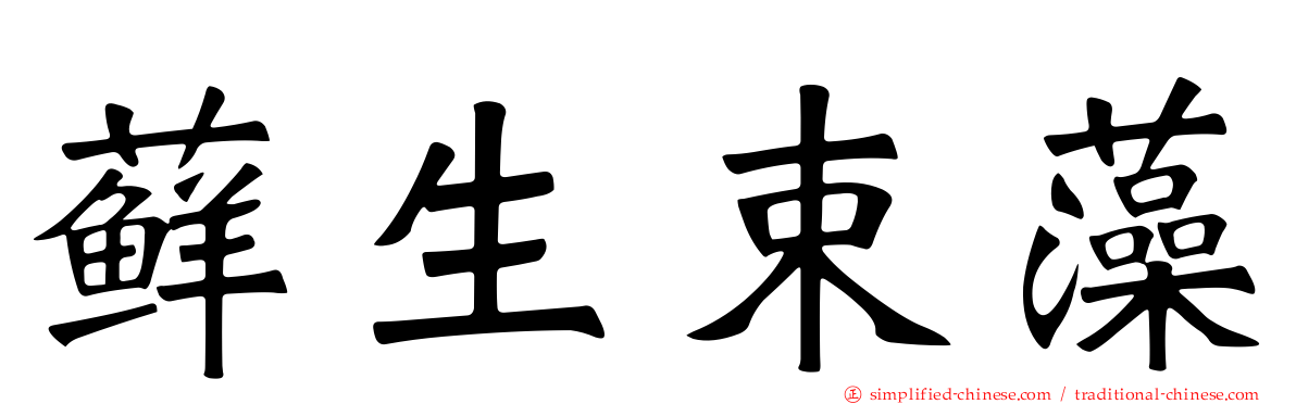 藓生束藻