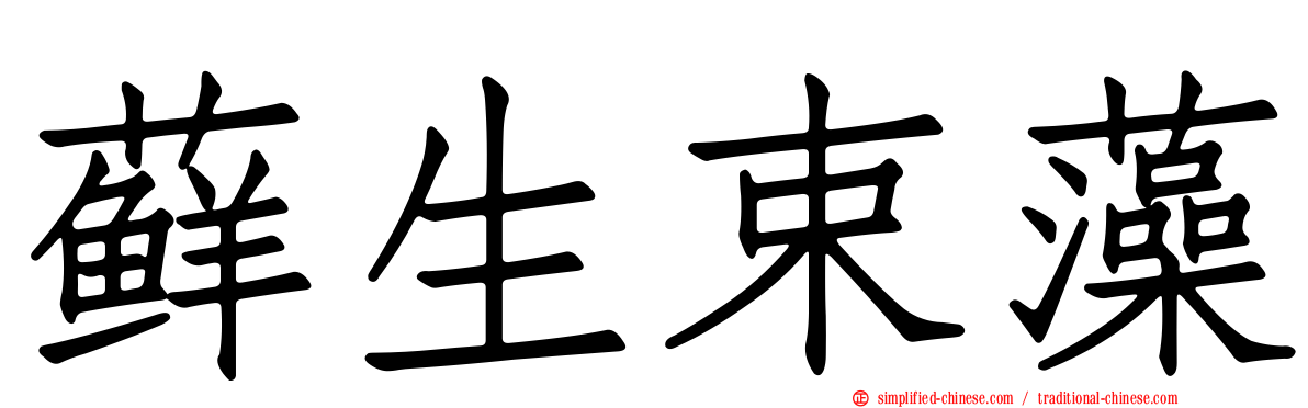 藓生束藻