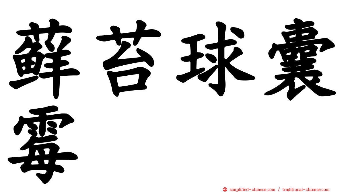 藓苔球囊霉