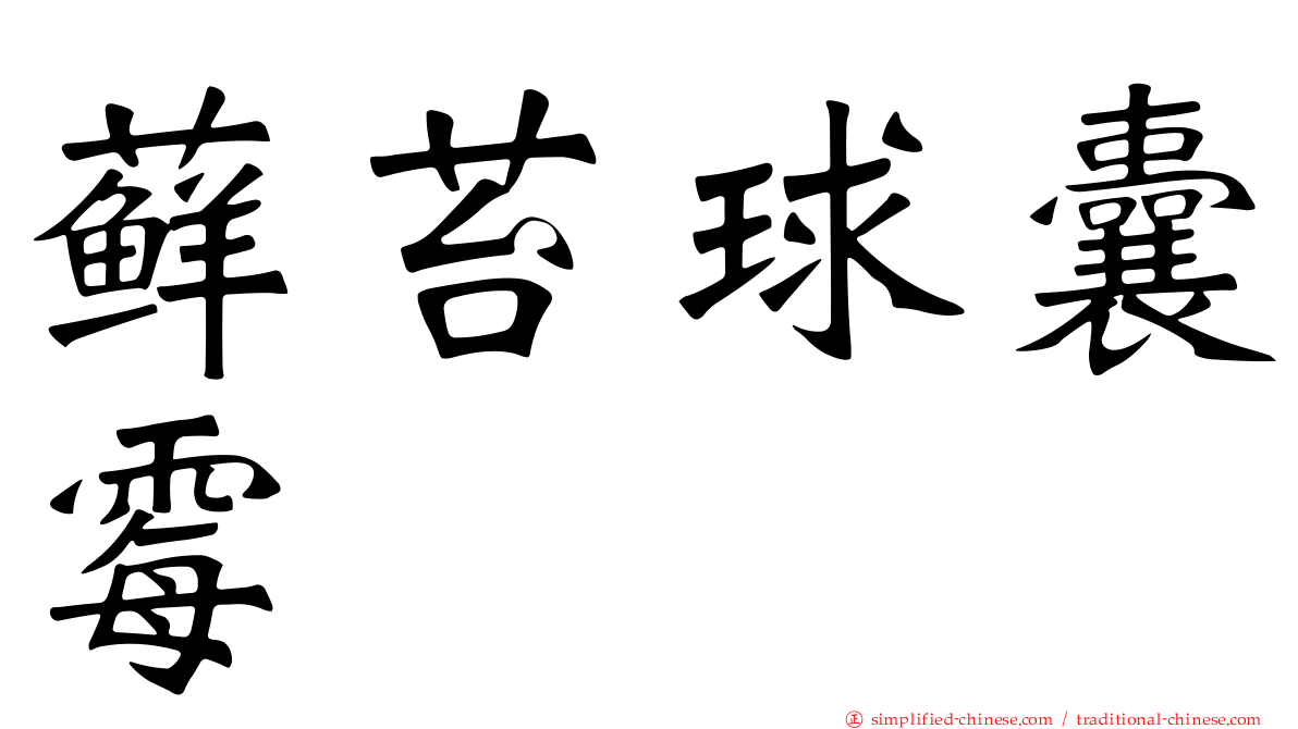 藓苔球囊霉