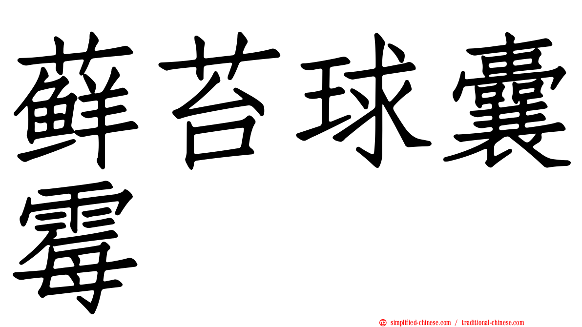 藓苔球囊霉