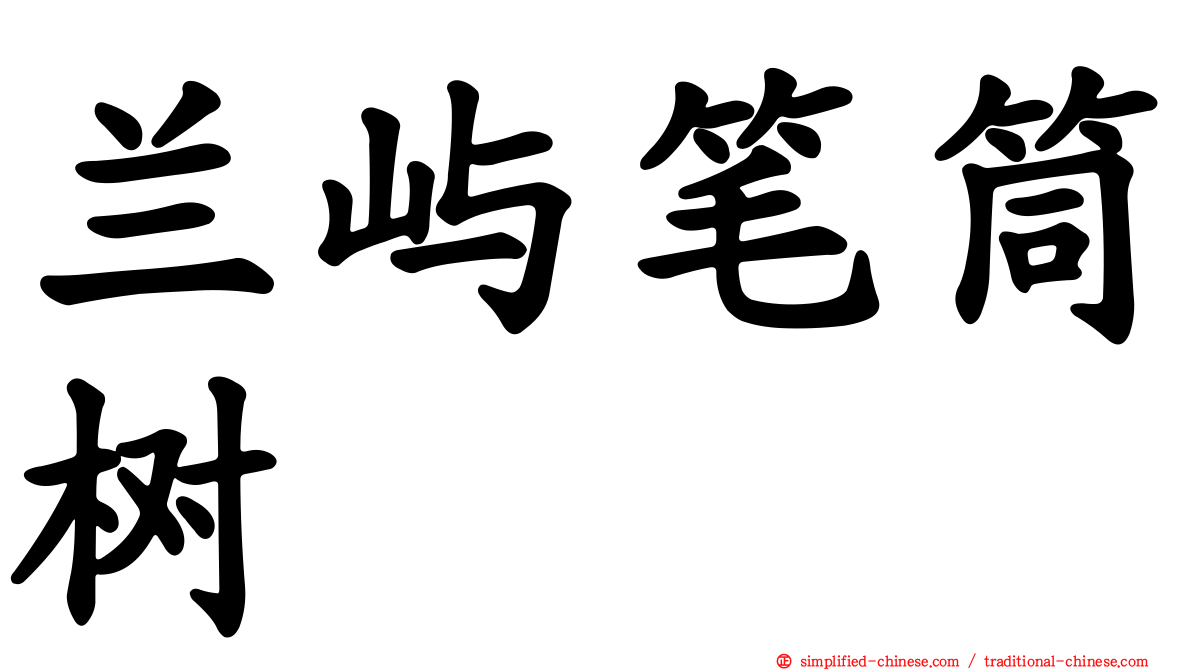 兰屿笔筒树