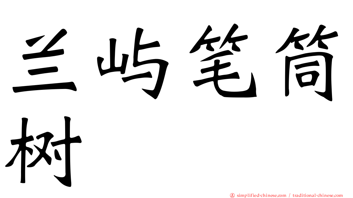 兰屿笔筒树