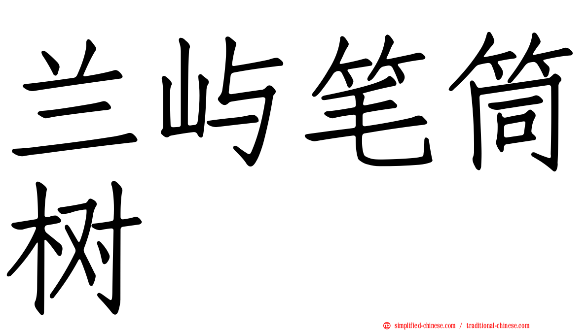 兰屿笔筒树