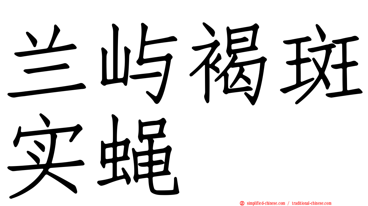 兰屿褐斑实蝇