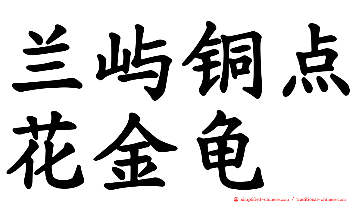 兰屿铜点花金龟