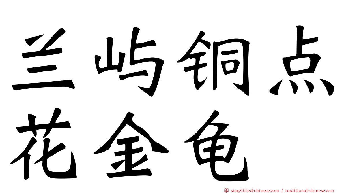 兰屿铜点花金龟