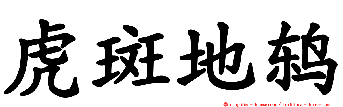 虎斑地鸫