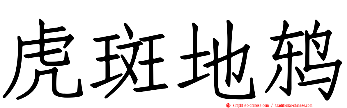 虎斑地鸫