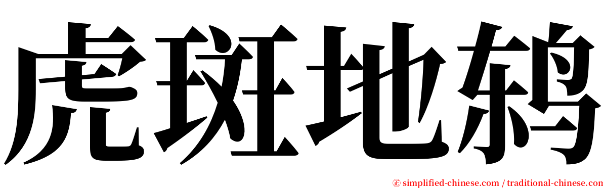 虎斑地鸫 serif font