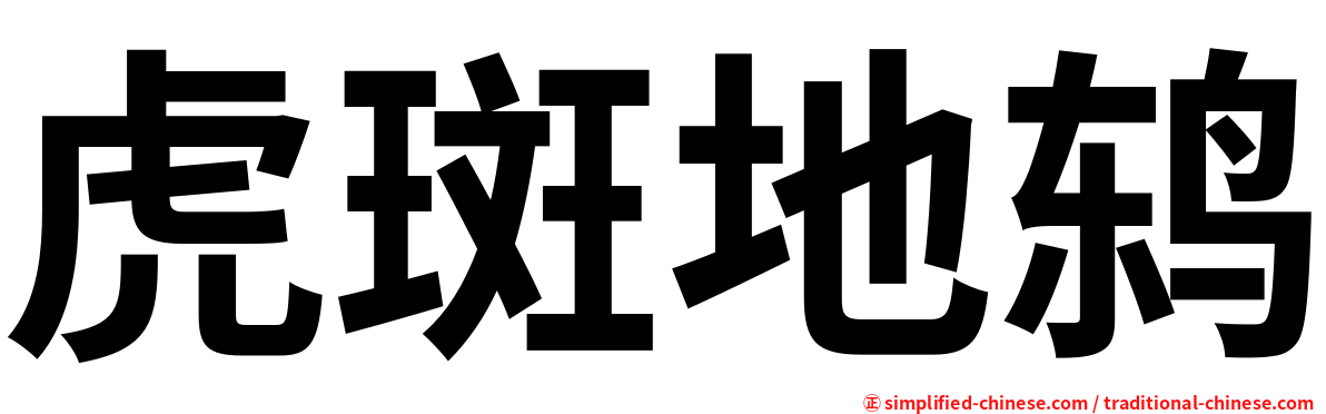 虎斑地鸫
