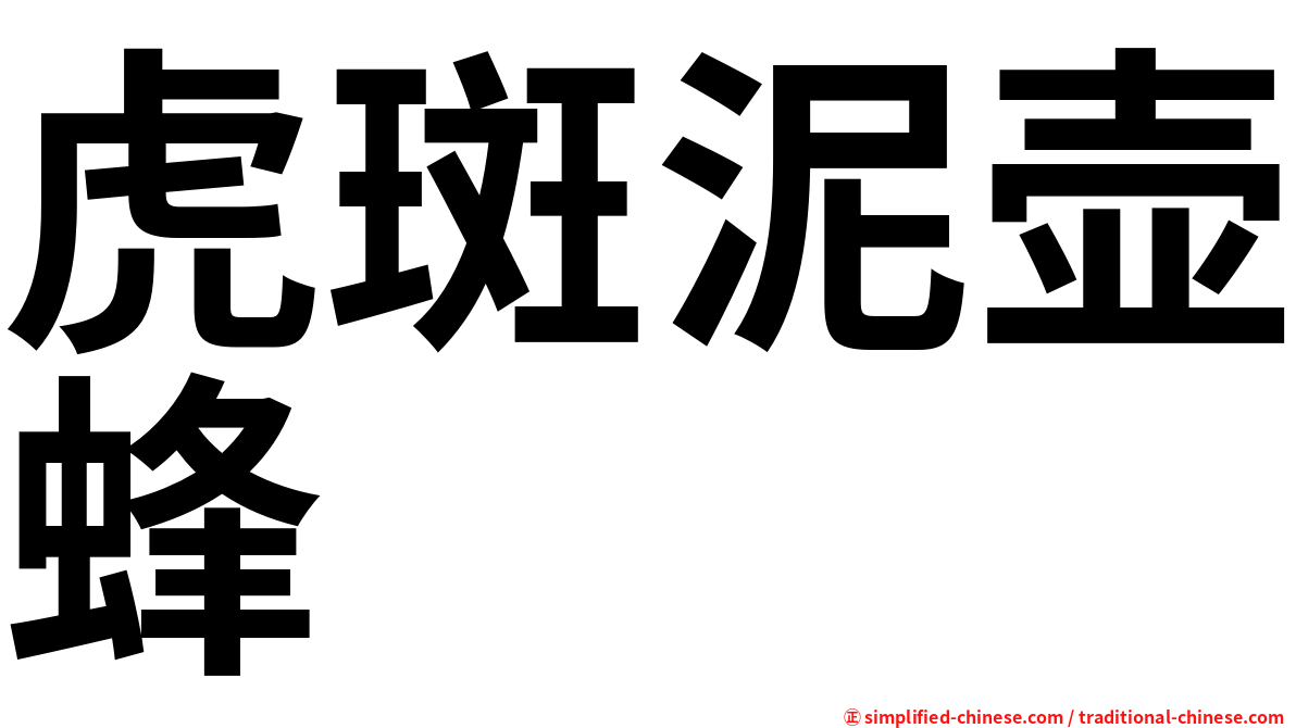 虎斑泥壶蜂