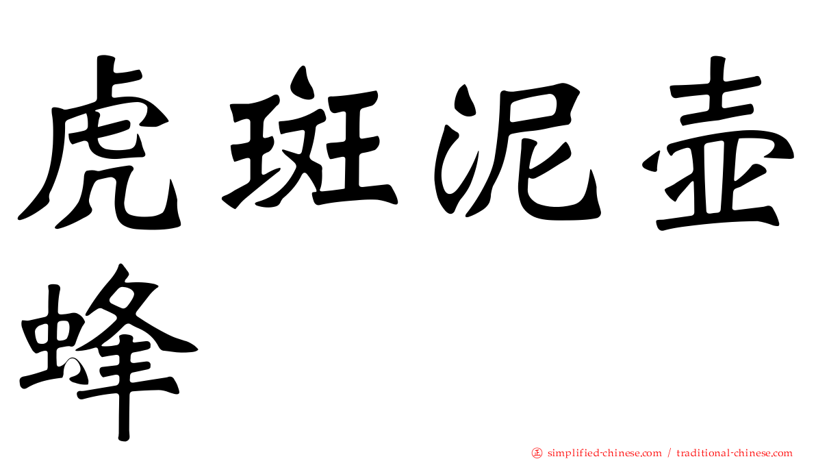 虎斑泥壶蜂