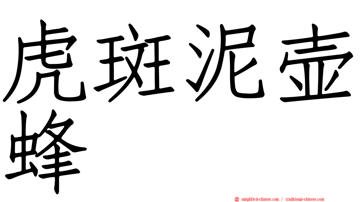 虎斑泥壶蜂