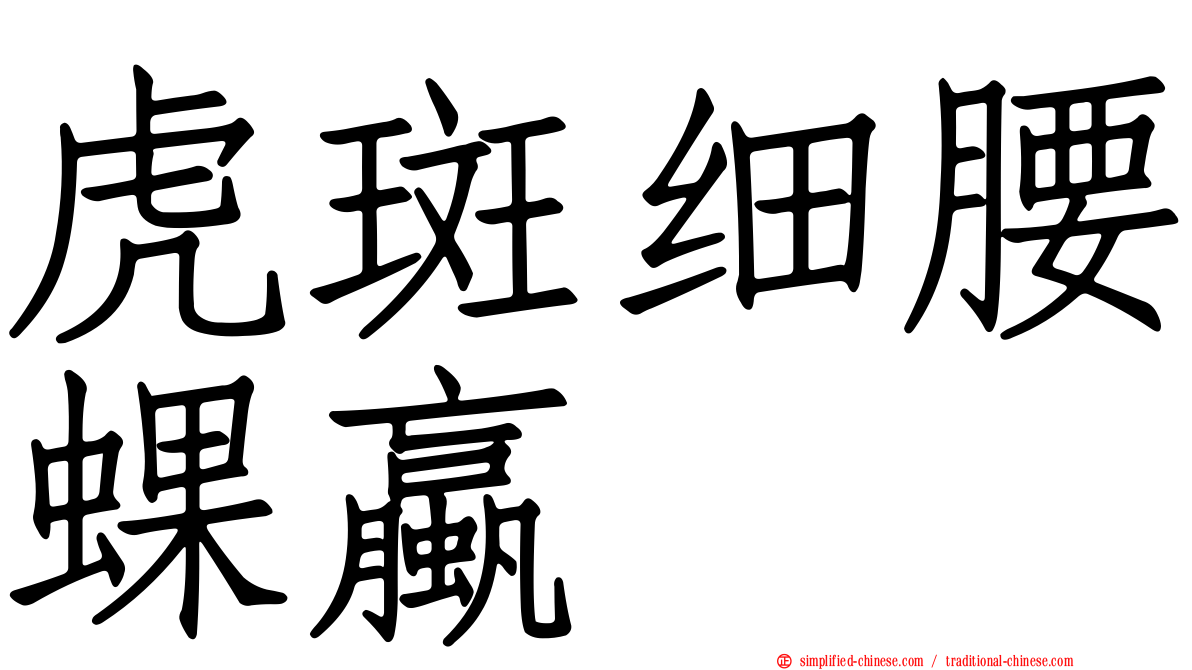 虎斑细腰蜾蠃