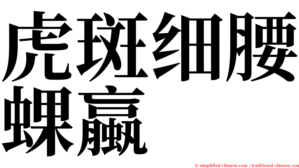 虎斑细腰蜾蠃 serif font