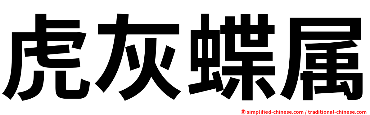 虎灰蝶属