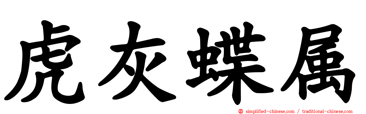 虎灰蝶属