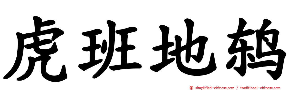 虎班地鸫