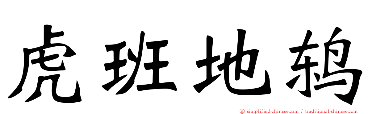 虎班地鸫