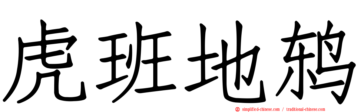 虎班地鸫