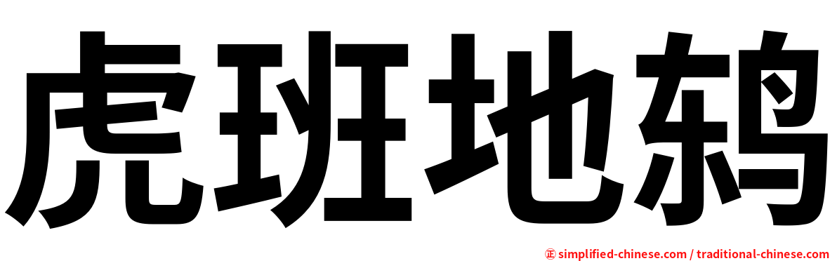虎班地鸫