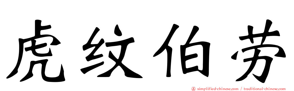 虎纹伯劳