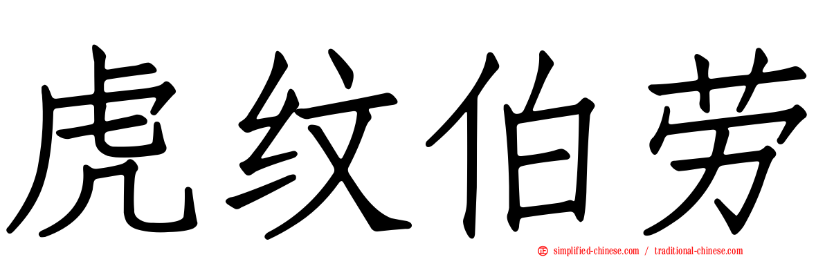 虎纹伯劳