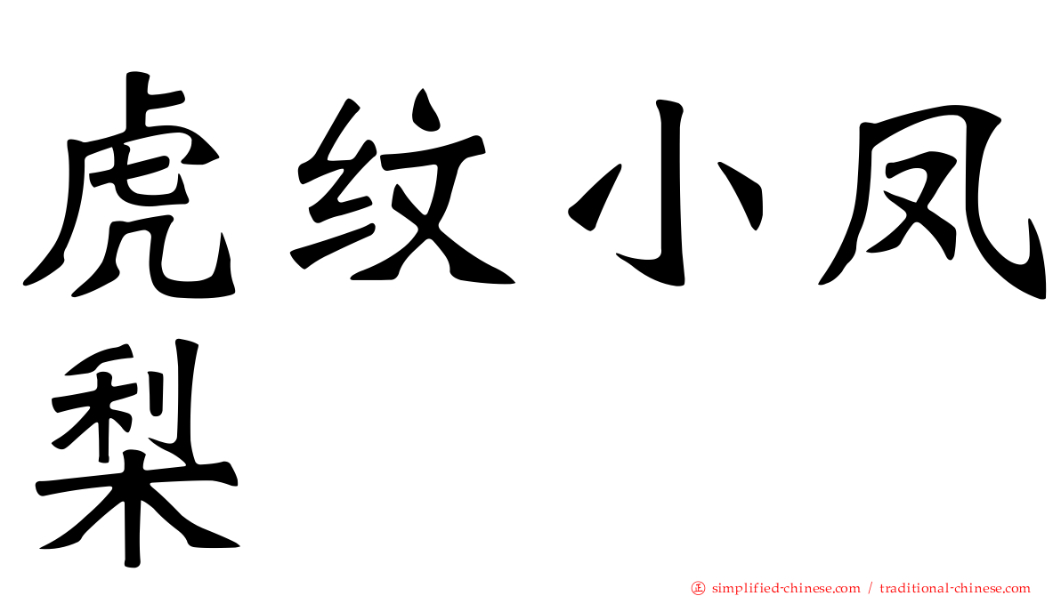 虎纹小凤梨