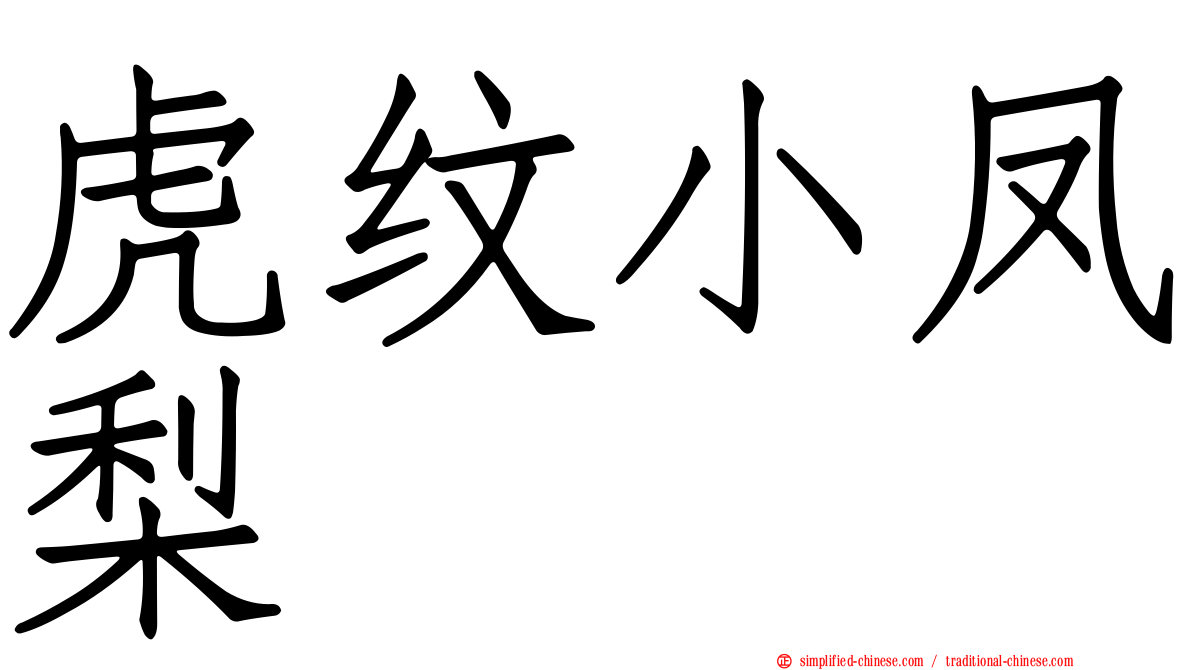虎纹小凤梨
