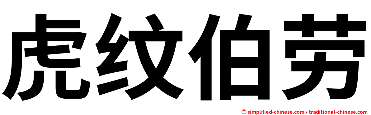 虎纹伯劳