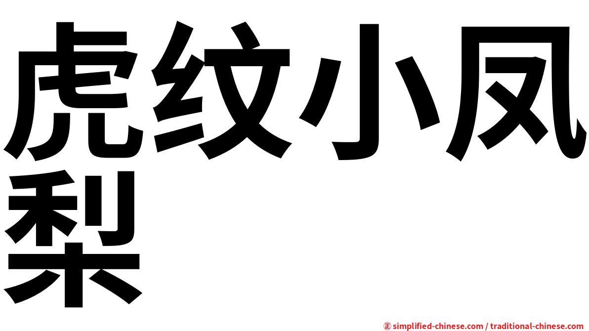 虎纹小凤梨