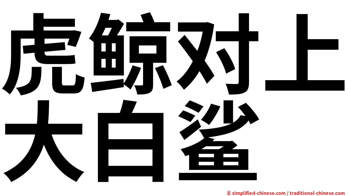 虎鲸对上大白鲨
