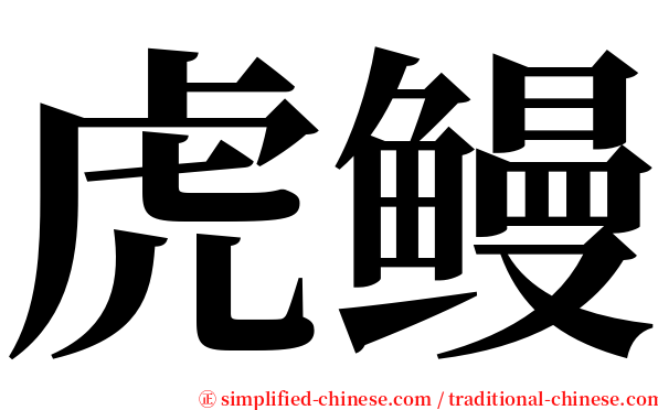 虎鳗 serif font