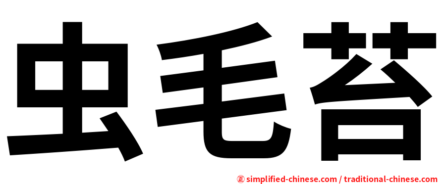 虫毛苔