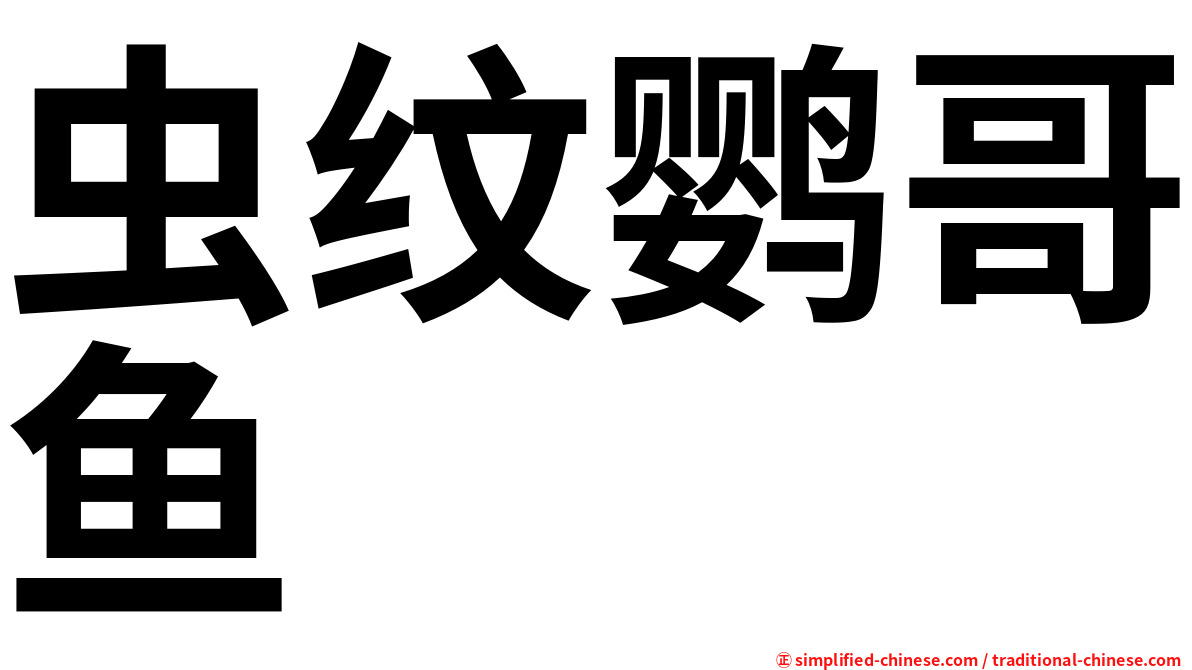 虫纹鹦哥鱼
